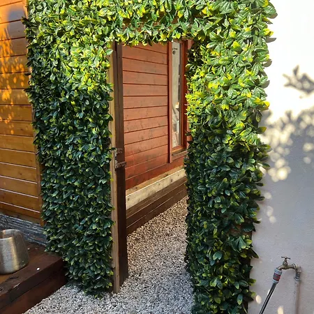 4 Pieces Climatise, Dependance, Double Terrasse, Jardin, Centre Cannet Апартаменты *